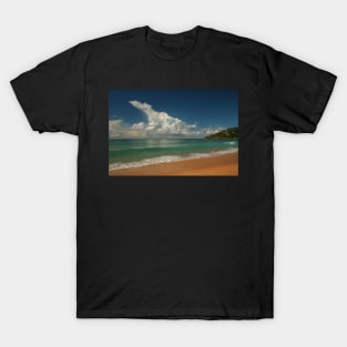 This Is Australia .. Palm Beach T-Shirt